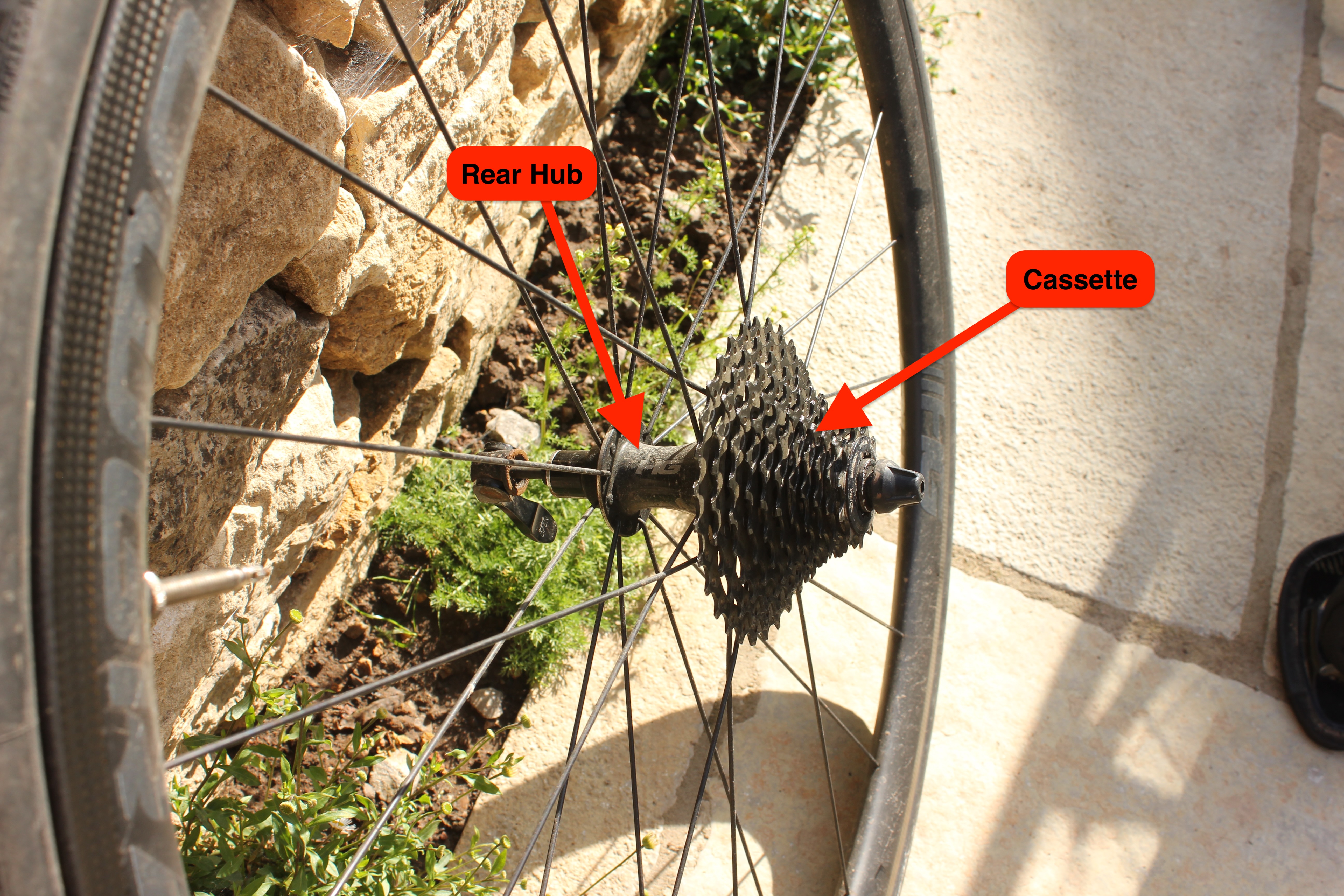 rear-bicycle-wheel